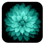 galaxy flower android application logo